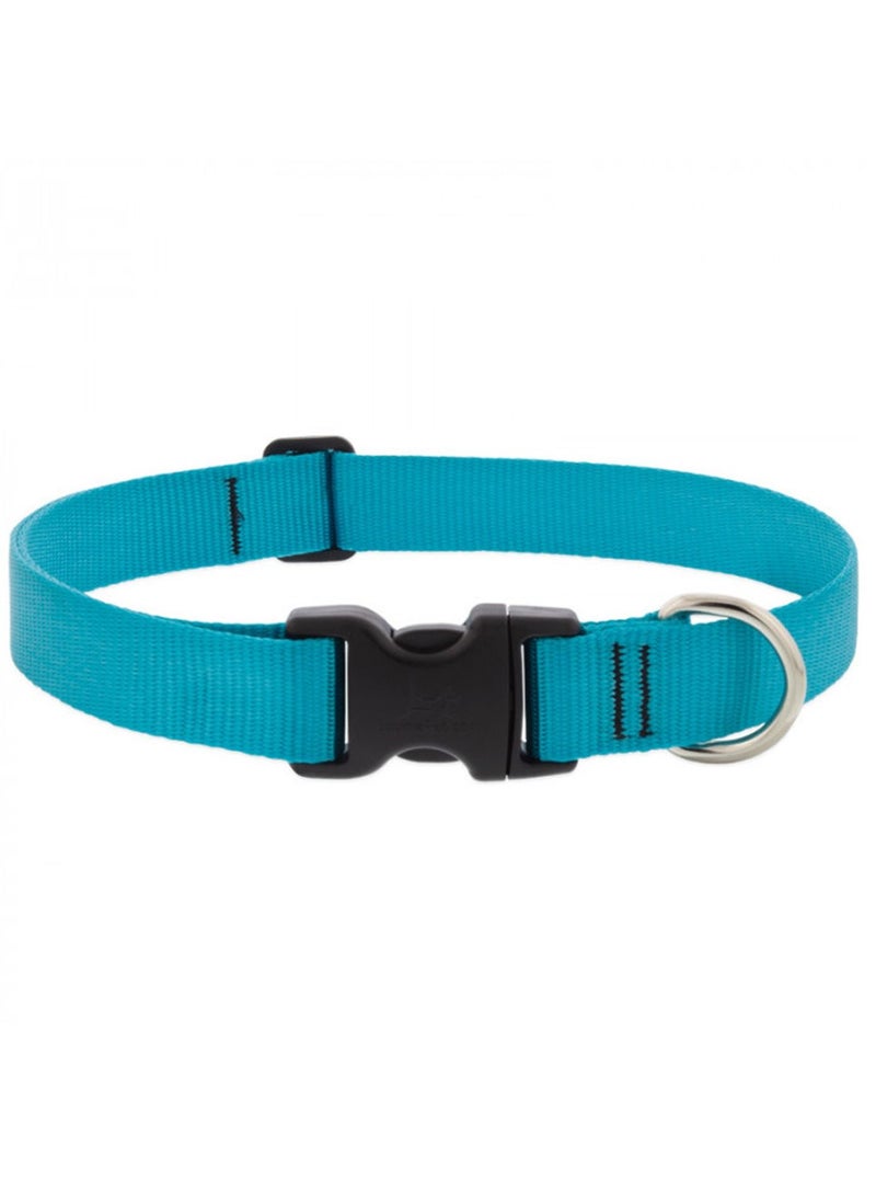 Basics Adjustable Collar Aqua 1 For Large Dogs Blue - pzsku/Z226C8F287C7ED5B869ABZ/45/_/1674569008/26ed2238-507d-4ac6-a3c7-ae2363203cc1