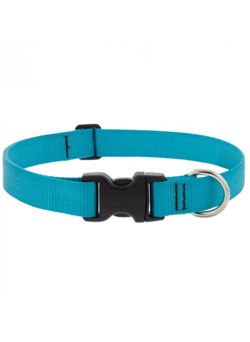 Lupine Basics Adjustable Collar Aqua 1 For Large Dogs Blue - Image 1