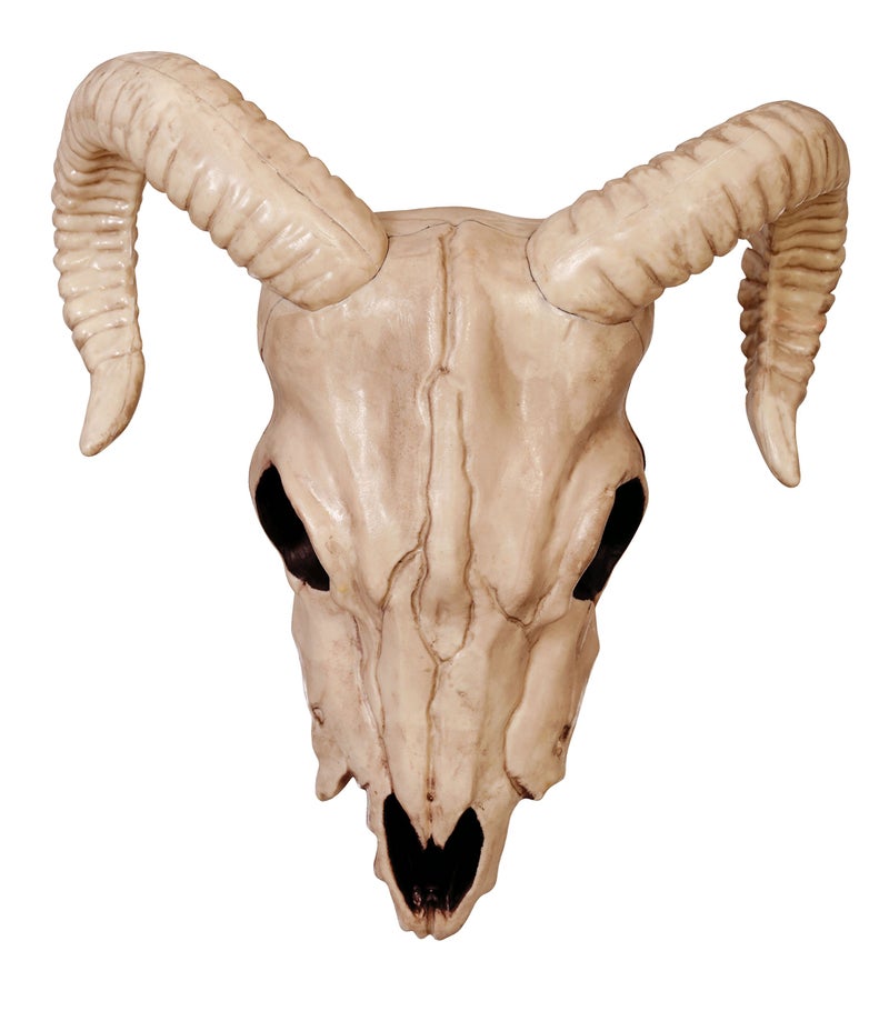 Crazy Bonez Ram Skull Halloween for Indoor and Outdoor Haunted House Skeleton Prop Decoration - Image 2