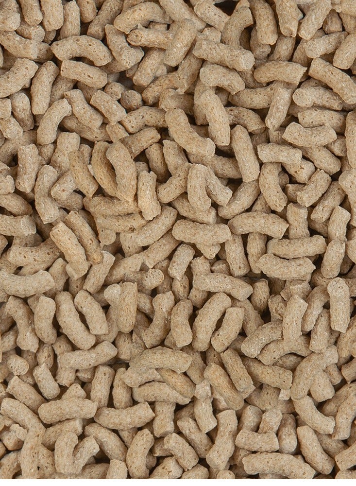 Sera Pond Color Sticks Nature 1000 ML - Image 2