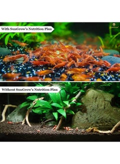 SunGrow SunGrow Baby Shrimp & Fish Fry Food, Essential Yellow Microbial Powder Enzyme, for Proper Nutrition, Digestion and Immune Support, Helps Keeps Aquarium Water Clean, Triple The Survival Rate  - Image 4