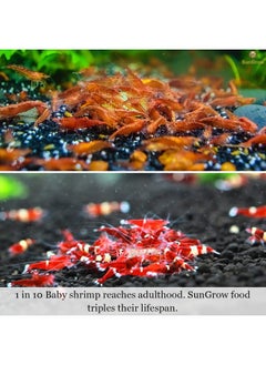 SunGrow SunGrow Baby Shrimp & Fish Fry Food, Essential Yellow Microbial Powder Enzyme, for Proper Nutrition, Digestion and Immune Support, Helps Keeps Aquarium Water Clean, Triple The Survival Rate  - Image 5