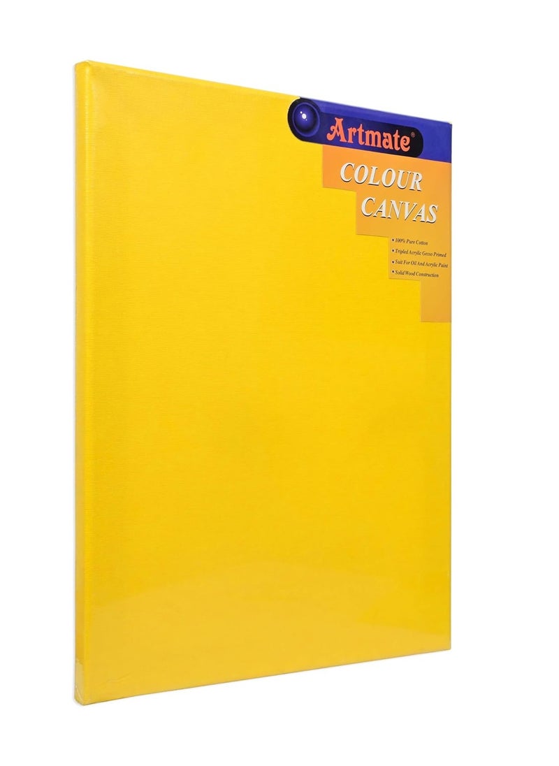 Artmate Artist Canvas, Yellow, 30x40cm - JIGN3040YL - pzsku/Z22709C93193377567CB0Z/45/_/1717213451/bd16442d-6144-4c9c-8ecc-62c618f60994