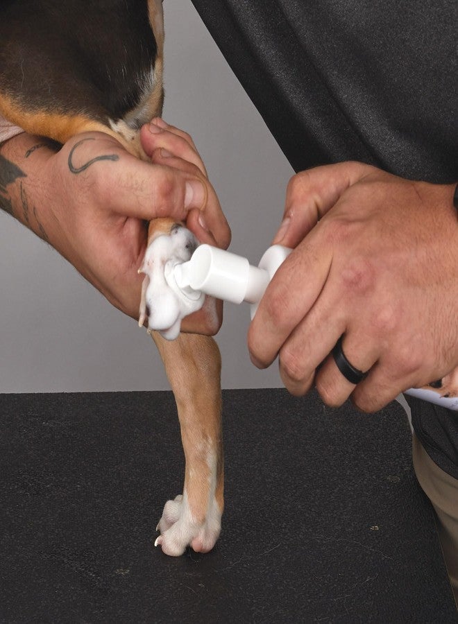 توب بيرفورمانس رغوة تنظيف مخالب الحيوانات الأليفة عالية الأداء 7.1 أونصة - Image 4