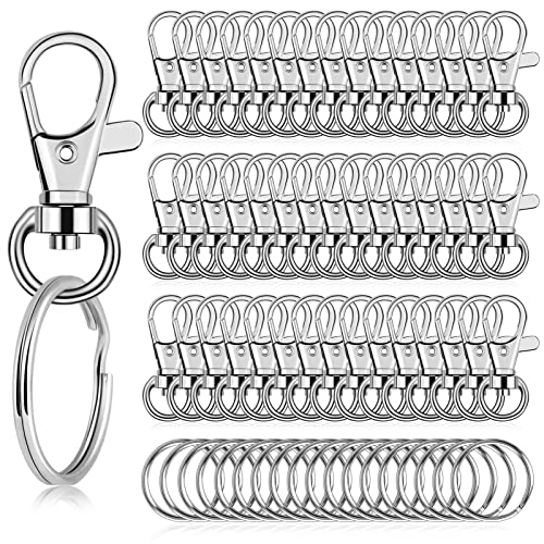 Flasoo 140 Keychains Bulk 70 Keychain Clips and 70 Key Rings for Crafts - Image 1