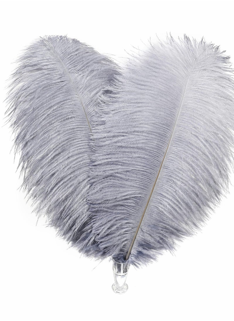 SYOSI - Natural White Ostrich Feathers 10 pcs 30-35 cm for Wedding Party Centerpieces Flower packaging Home Decorations (grey) - Image 1