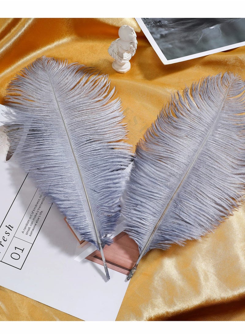 SYOSI - Natural White Ostrich Feathers 10 pcs 30-35 cm for Wedding Party Centerpieces Flower packaging Home Decorations (grey) - Image 1