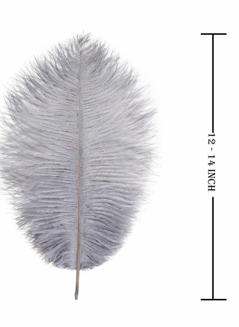 SYOSI - Natural White Ostrich Feathers 10 pcs 30-35 cm for Wedding Party Centerpieces Flower packaging Home Decorations (grey) - Image 1