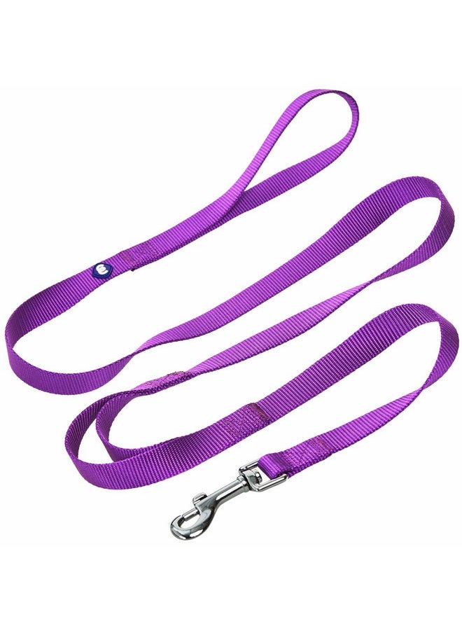 Blueberry Pet Blueberry Pet Essentials Double Handle Dog Leash for Traffic Control | 5ft. x 3/8" X-Small Dog Leash | Classic Dog Leash with Two Handles for Dogs That Pull | Nylon 2 Handle Dog Leash in Dark Orchid  - Image 1