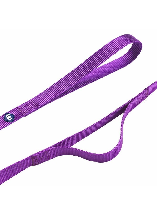 Blueberry Pet Blueberry Pet Essentials Double Handle Dog Leash for Traffic Control | 5ft. x 3/8" X-Small Dog Leash | Classic Dog Leash with Two Handles for Dogs That Pull | Nylon 2 Handle Dog Leash in Dark Orchid  - Image 2