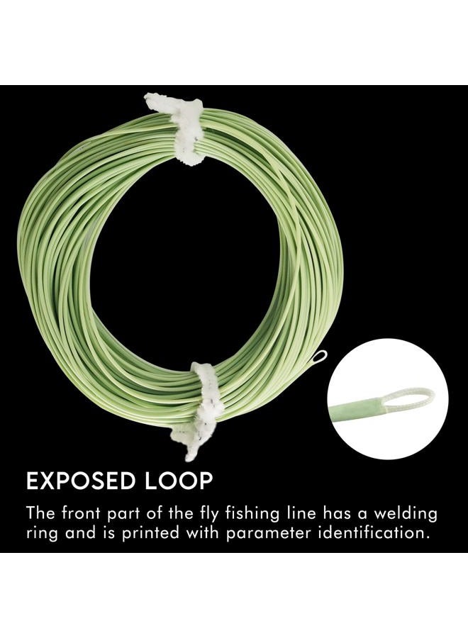 Riverruns Fly Fishing Floating Line with Welded Loop Weight Forward Fly Lines 85FT WF4 5 6 7F (Single Moss Green, WF4F) - Image 4