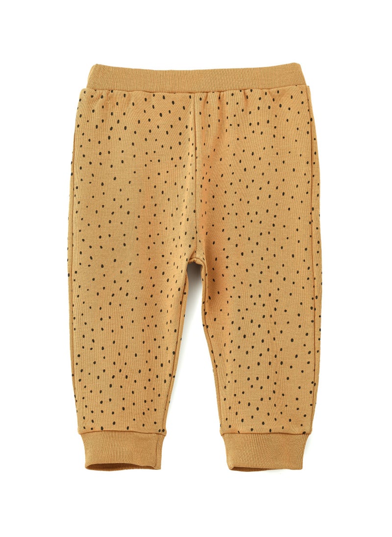JAM Warm Brown Knitted Cotton Pants with Polka Dots for Toddlers  - Image 1