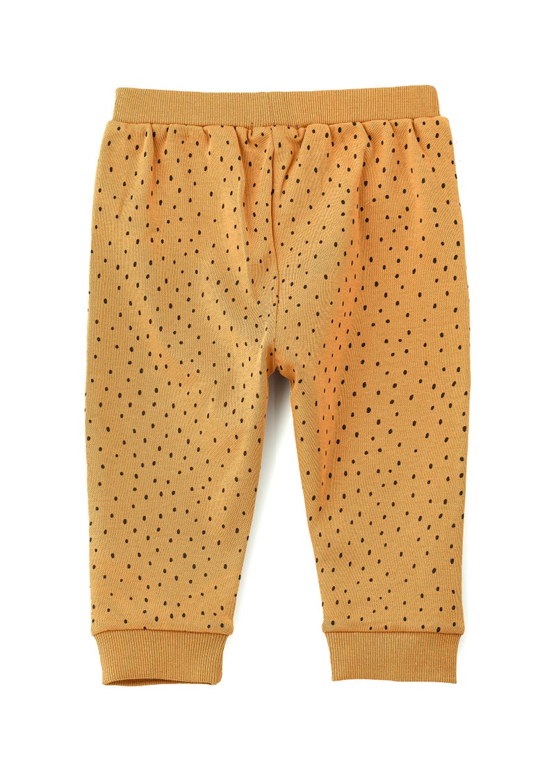 JAM Warm Brown Knitted Cotton Pants with Polka Dots for Toddlers  - Image 2