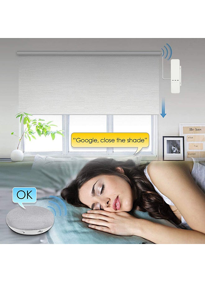 Generic - WiFi  DIY Smart Motorized Chain Roller Blinds Shade Shutter Drive Motor APP Control Compatible with Alexa Google Home Voice Control Programmable Electric Curtain Motor - Image 1
