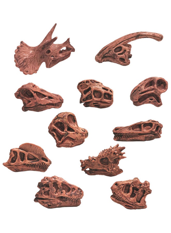 11-Piece High Simulation Dinosaur Skull Figure