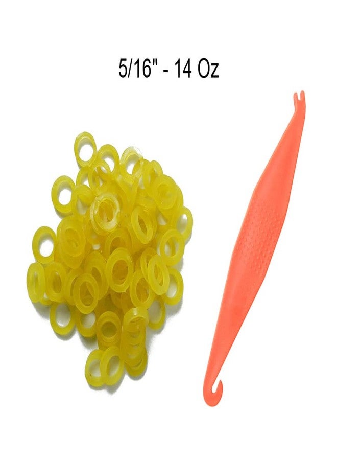 Dentosmile Orthodontic Extraoral Latex Elastics | Dental elastics| Tooth Colours Pack of 100 Pcs + Free Placer for Braces - Image 2