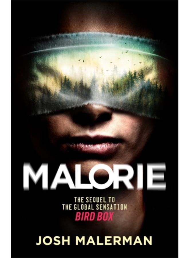 Malorie : The much-anticipated Bird Box sequel 