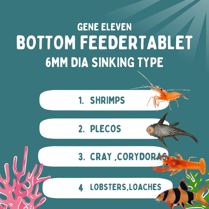 VAYINATO Aquatic Remedies Gene Eleven Bottom Tablet Feeder, 60G (30G * Pack Of 2)|Tablet Feed For Plecos, Cray Fish, Lobster, Crabs And Shrimps. - All Life Stages - Image 3