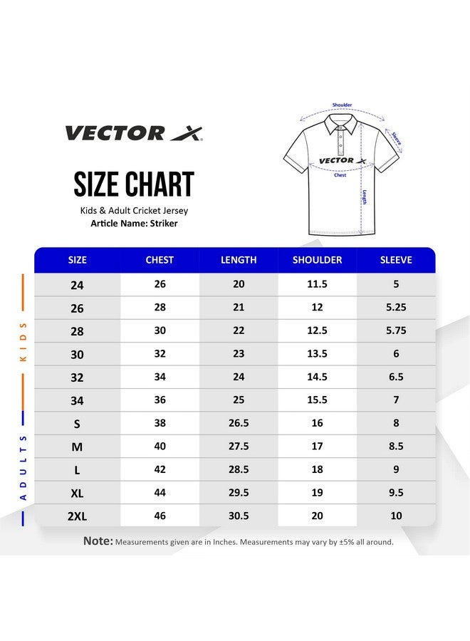 Vector X Vector X Striker Cricket T Shirt (Half Sleeves) (M) - Image 3