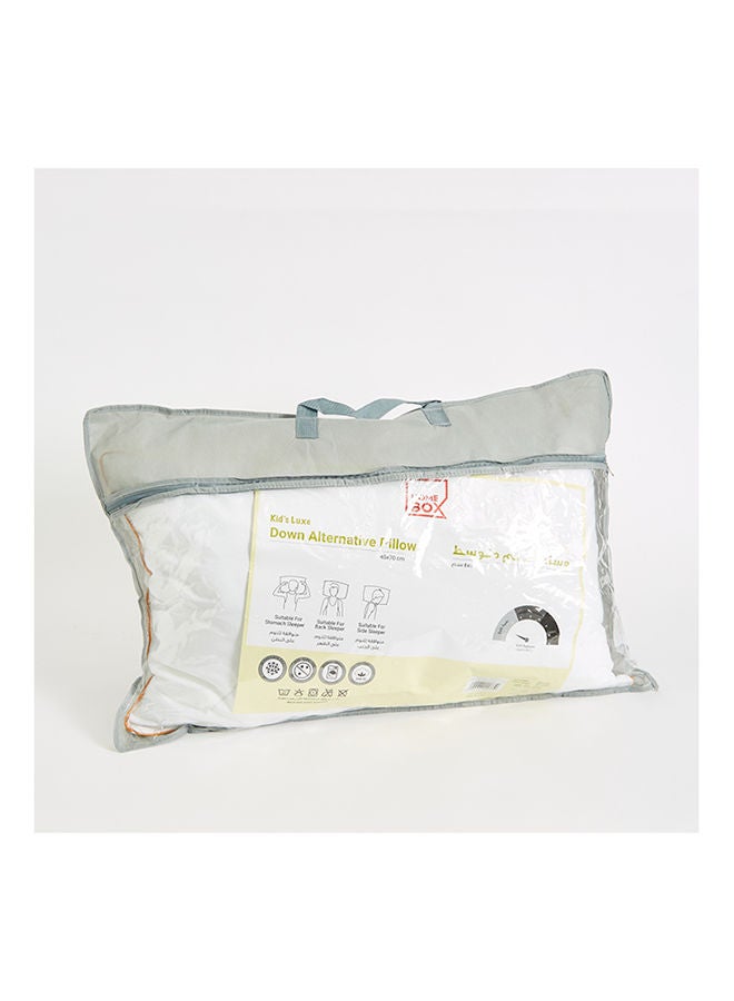 هوم بوكس وسادة جوناس الفاخرة البديلة المقاومة للريش ٤٥ × ٧٠ سم - Image 5