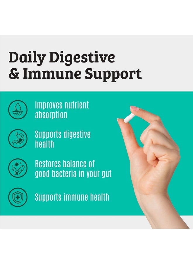 Dr. Matthew Prebiotics and Probiotics: Lactobacillus Gasseri, Lactobacillus Rhamnosus, Plantarum, Casei, Bifidobacterium longum, lactis, infantis. Probiotic Prebiotic, Pre and Probiotics for Digestive Health. - Image 2