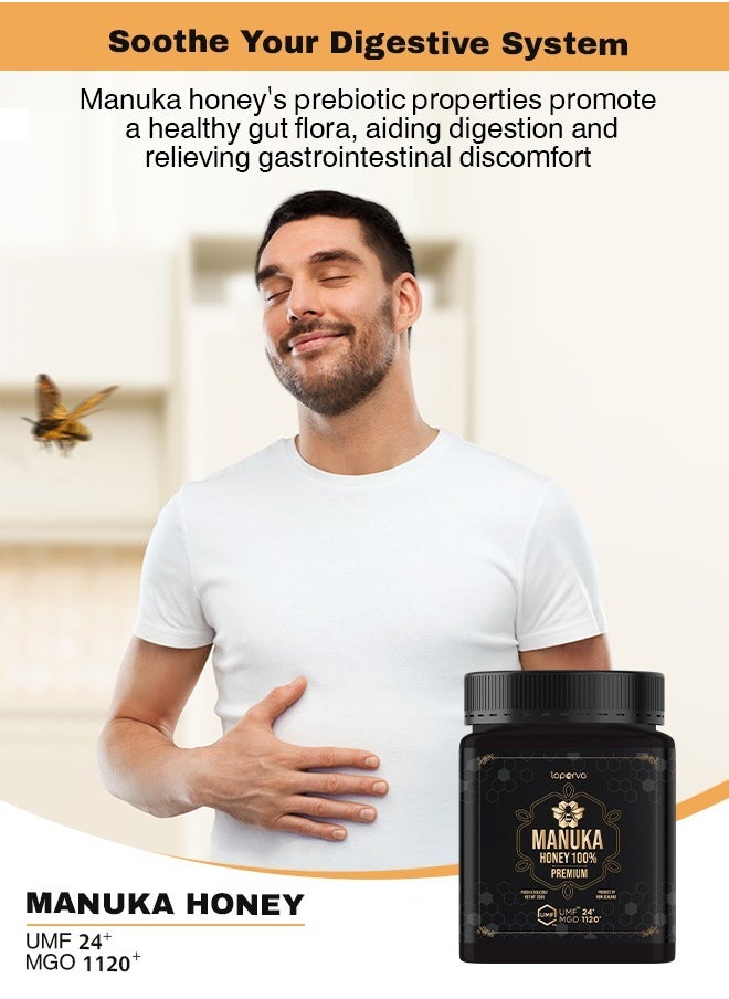 Premium Manuka Honey 1120+ MGO, 24+ UMF - Immune Support, Soothes Sore Throats, Delicious Flavor - 250g Jar - pzsku/Z228513372737ECDDE246Z/45/_/1736406151/acc3d930-d5cd-47bb-a3dc-7b6eeb64a30d