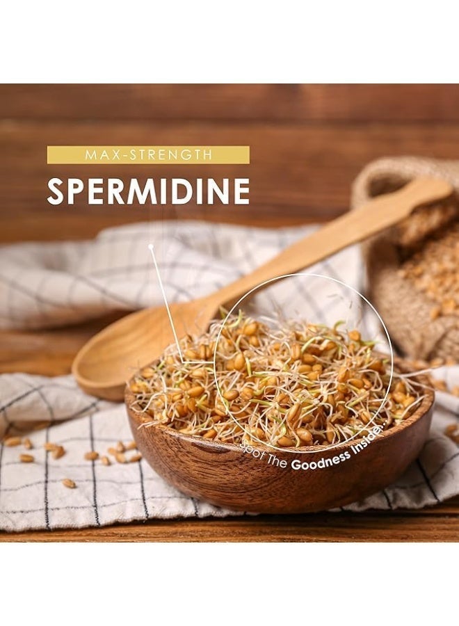 ALPHA01 Spermidine Wheat Germ 600 mg – Supports Cellular Health & Longevity, 60 Capsules - Image 3