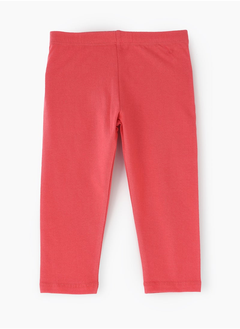 Jelliene Leggings, Soft and Comfortable Leggings for Girls  - Image 1