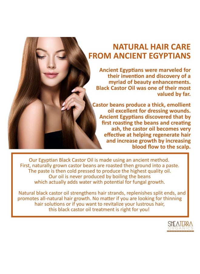 Shea Terra Organics - 100 Percent Pure Egyptian Black Castor Extra Virgin Oil Rosemary Carrot Seed Allnatural Strengthening And Conditioning Hair Oil For Healthy Hair Growth And Scalp 8 Oz - Image 1