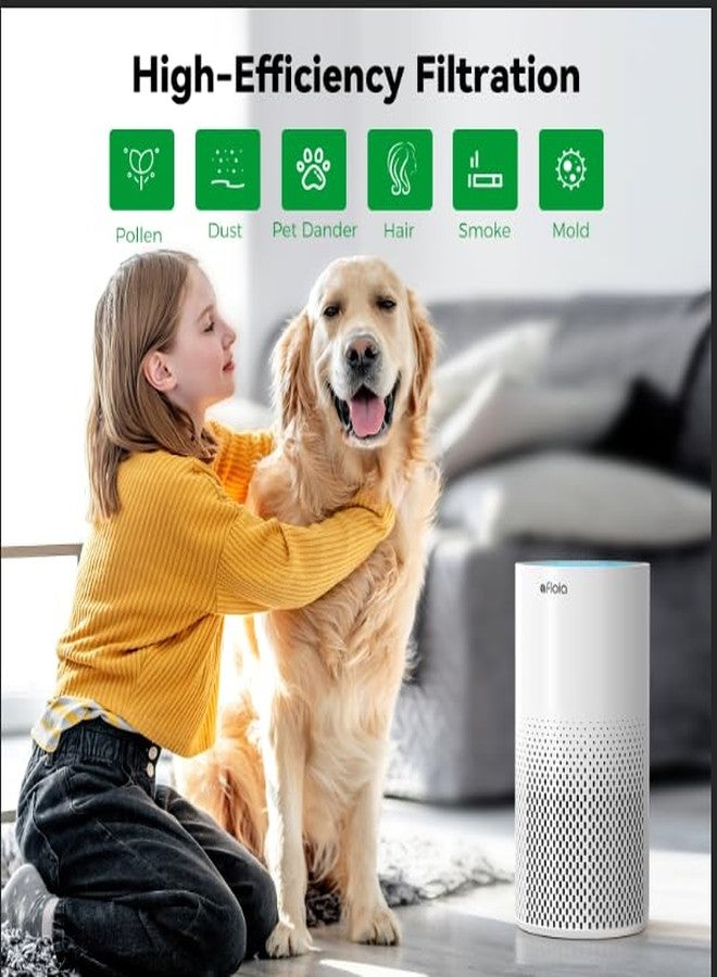 Afloia Washable & Removable Pet Replacement Filter, 360° 3-Stage Filtration, Compatible with Kilo/KILOPRO/MIRO/MIROPRO Air Purifiers - Image 4