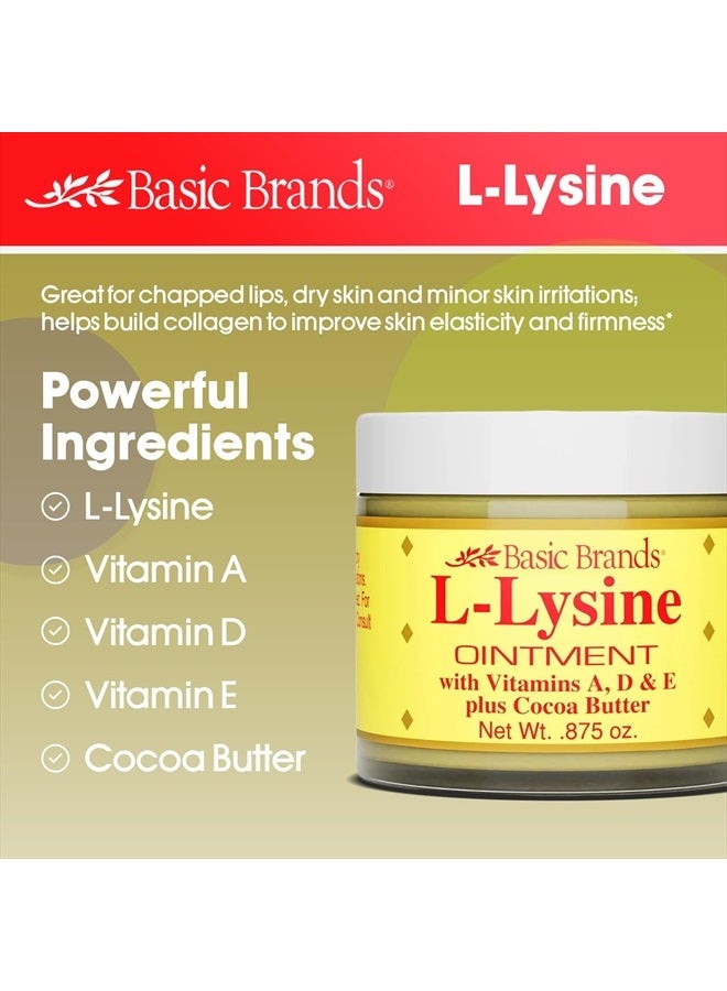 Basic Brands L-Lysine Ointment, Cold Sore Fever Blister Relief, Soothes Chapped Lips and Dry Skin, Goes on Clear, 0.875 oz (Pack of 1)