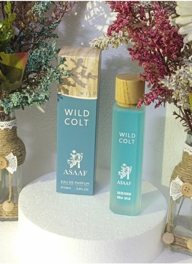 Wild Colt 100 ml - pzsku/Z228A164D96CACFB59E20Z/45/_/1738940144/6b535839-4b58-4c97-bca2-f6e07788c98f