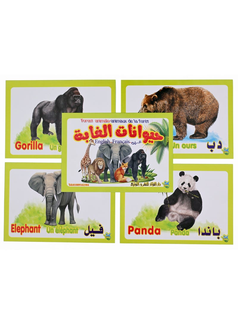 حيوانات الغابة - Image 1