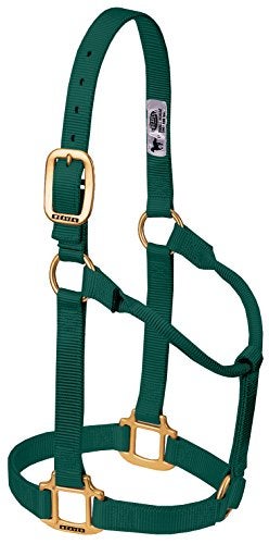 Weaver Leather هالتر خيل نايلون غير قابل للتعديل من ويڤر ليذر، صغير، أخضر صيد - Image 2