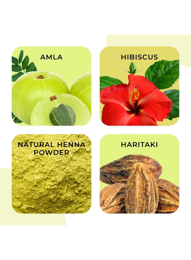 في كير مسحوق الحناء الطبيعي للشعر 100 جم (عبوة من 5) | تكييف طبيعي ومضاد للقشرة | التحكم في تساقط الشعر، تلوين الشعر بالحناء الطبيعية للنساء والرجال | مسحوق الحناء لنمو الشعر - Image 2