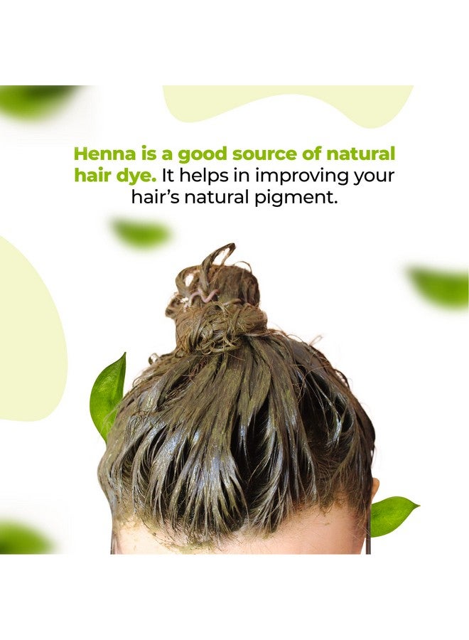 في كير مسحوق الحناء الطبيعي للشعر 100 جم (عبوة من 5) | تكييف طبيعي ومضاد للقشرة | التحكم في تساقط الشعر، تلوين الشعر بالحناء الطبيعية للنساء والرجال | مسحوق الحناء لنمو الشعر - Image 3