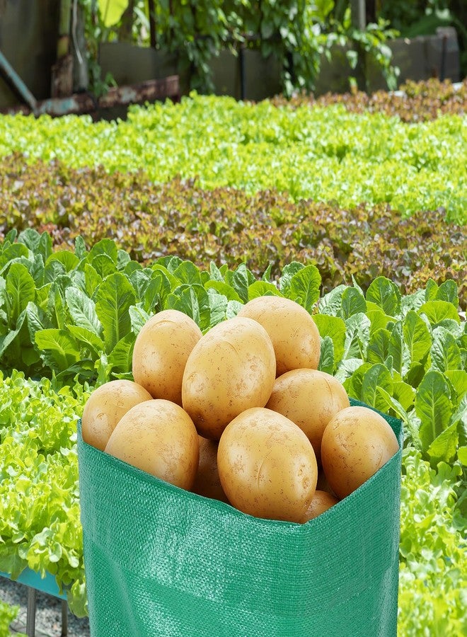 عبوة من 24 كيسًا لسباق أكياس البطاطس، حجم كبير 23.6 × 39.3 بوصة، أكياس ألعاب خارجية للعائلة والبالغين والكرنفالات والفعاليات والحفلات، 4 ألوان - Image 4