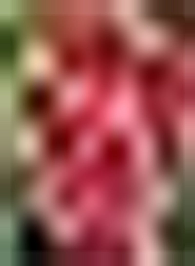 GGOOT 2pcs Rode Dahlia Bollen Zeldzame Variëteiten Decoratieve Tuinbouw Siertuin Planten voor Charmant Landschap in Huis Weinig Onderhoud - Image 1