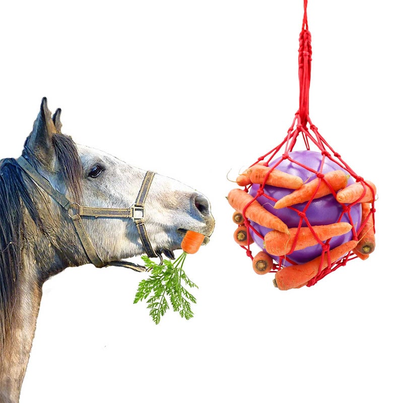 Tirifer Carrot Feeder Ball Toy for Horse Goat Sheep Stress Relief Stable Paddock - Image 2
