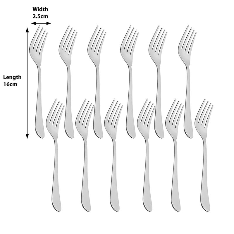 MARWALL 12 Piece Set Stainless Steel Table Fork Set Dinner Fork Set Medium Size Fork Contains 12 Table Fork Silver - Image 5