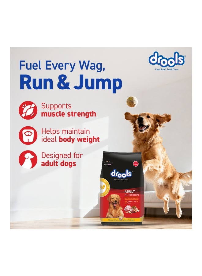 Drools Adult Dry Dog Food  Chicken & Egg - Image 1