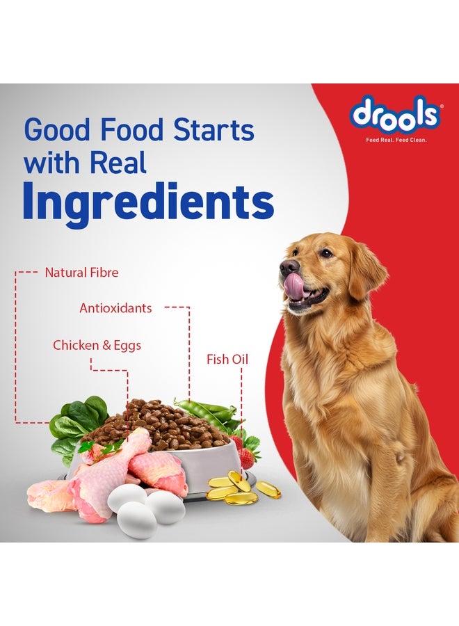Drools Adult Dry Dog Food  Chicken & Egg - Image 5