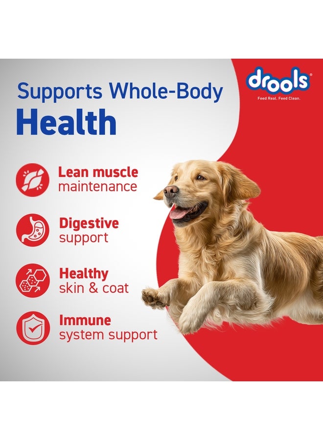 Drools Adult Dry Dog Food  Chicken & Egg - Image 3