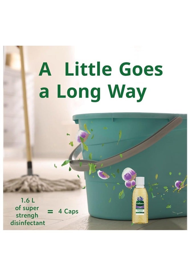 زوفلورا مطهر مركز متعدد الاغراض برائحة اللافندر المنعشة 120 مل - Image 2