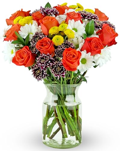 Benchmark Bouquets - Life is Good Orange Roses - Fresh Flowers for Delivery - Mothers Day Flowers for Mom - Gifts for Mom - Mother's Day Bouquet (Glass Vase Included) - Image 1