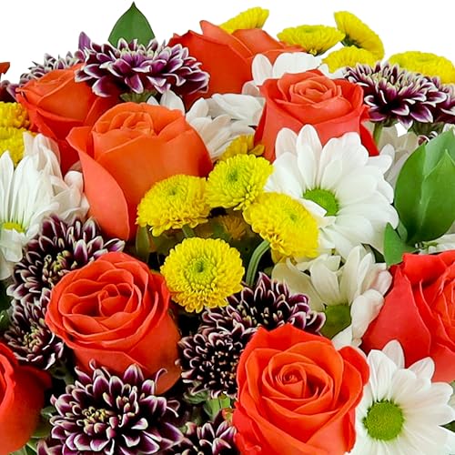 Benchmark Bouquets - Life is Good Orange Roses - Fresh Flowers for Delivery - Mothers Day Flowers for Mom - Gifts for Mom - Mother's Day Bouquet (Glass Vase Included) - Image 4