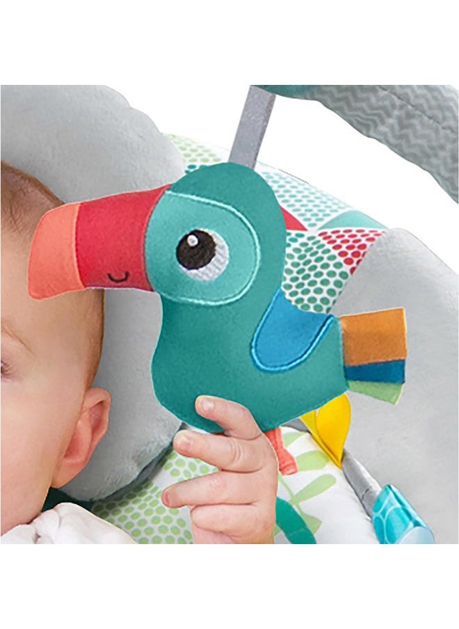 Bright Starts - Baby Bouncer Soothing Vibrations Infant Seat - Taggies, Music, Removable -Toy Bar, 0-6 Months Up to 20 lbs (Toucan Tango) - Image 1