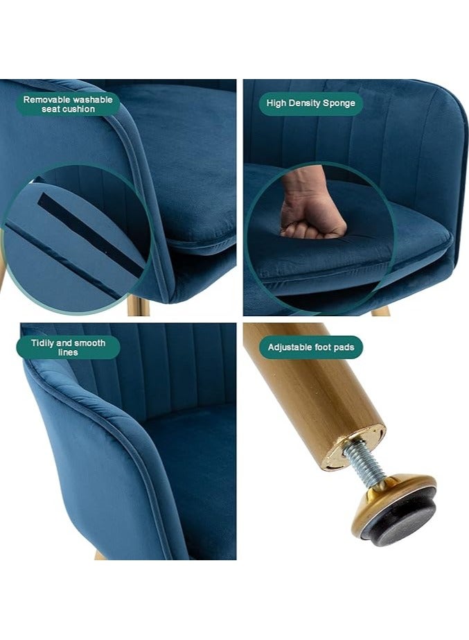 Poppins Home Poppins HOME Elegant Velvet Dining Chair with Golden Metal Legs - Superior Fabric, Removable Washable Cushion, Sturdy Structure, 220lbs Weight Capacity (Blue-1PC)  - Image 4
