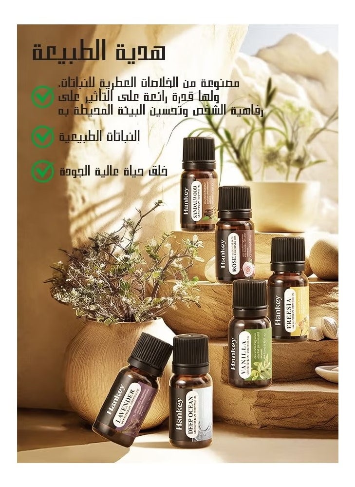 إسلكس زيت عطري، زيوت عطرية للفواحة، مجموعة من 6 خلطات مثالية للاستخدام المنزلي، زيوت عطرية للمرطبات والموزعات بروائح متنوعة.  - Image 2