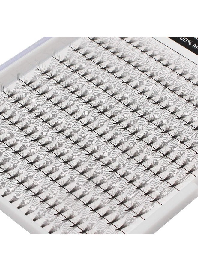 Large Traydedila Long Stem D Curl 10D Volume Premade Fans Eye Lashes Extensions Mixed 8101214Mm10121416Mm12131516Mm 121416Mm141516Mm Individual False Eyelashes (121416Mm) - pzsku/Z2291885A55C12ABF87D2Z/45/_/1707975303/9d517e6b-c35f-49ce-9f0f-7d0d4a39f77d